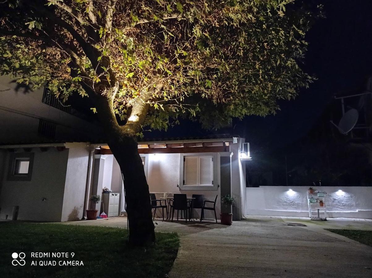 Apartment Patsis